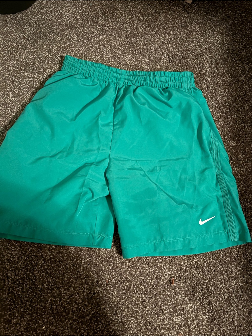 Nike Teal Green Training Shorts with White Swoosh
